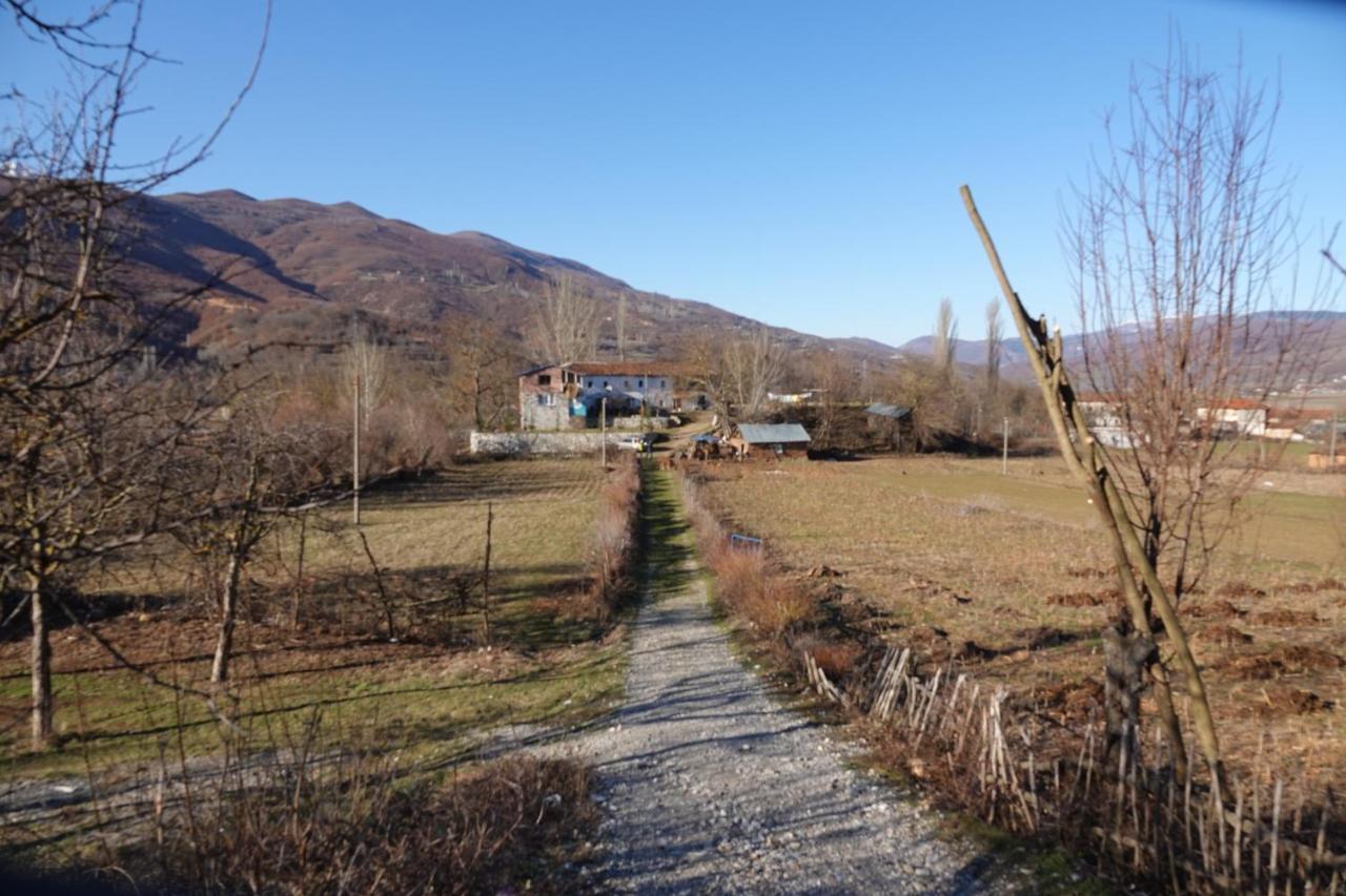 Arber Guest house *